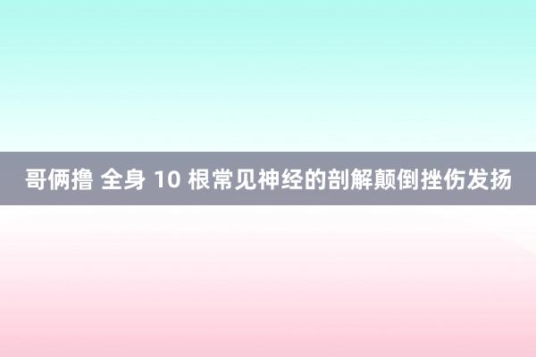 哥俩撸 全身 10 根常见神经的剖解颠倒挫伤发扬