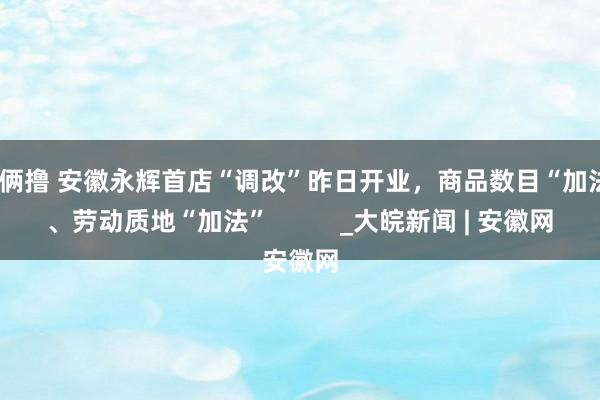 哥俩撸 安徽永辉首店“调改”昨日开业，商品数目“加法”、劳动质地“加法”          _大皖新闻 | 安徽网