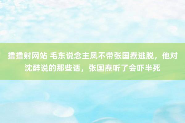 撸撸射网站 毛东说念主凤不带张国焘逃脱，他对沈醉说的那些话，张国焘听了会吓半死