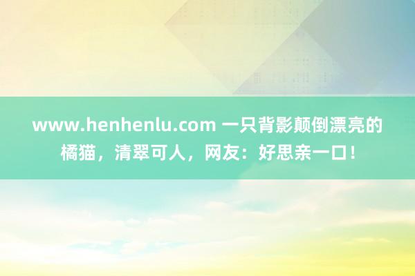 www.henhenlu.com 一只背影颠倒漂亮的橘猫，清翠可人，网友：好思亲一口！