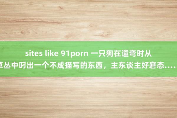 sites like 91porn 一只狗在遛弯时从草丛中叼出一个不成描写的东西，主东谈主好窘态……