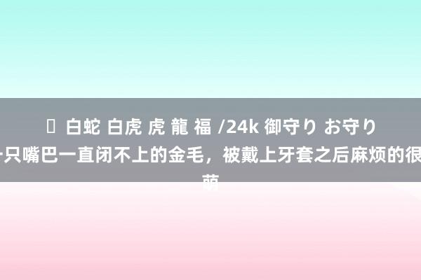 ✨白蛇 白虎 虎 龍 福 /24k 御守り お守り 一只嘴巴一直闭不上的金毛，被戴上牙套之后麻烦的很萌