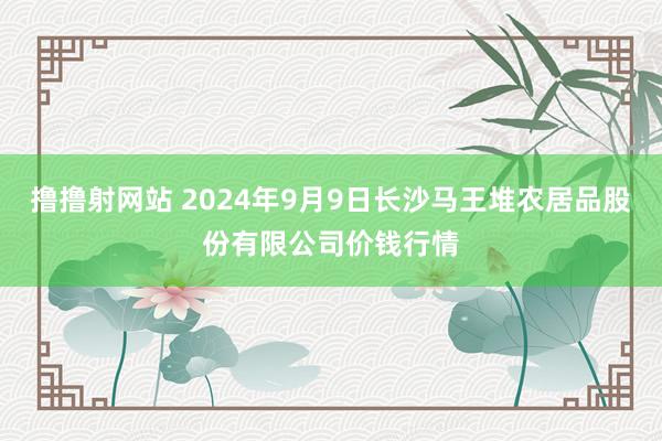 撸撸射网站 2024年9月9日长沙马王堆农居品股份有限公司价钱行情