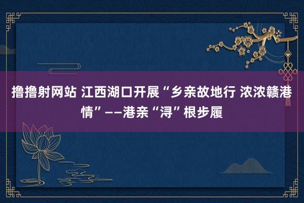 撸撸射网站 江西湖口开展“乡亲故地行 浓浓赣港情”——港亲“浔”根步履