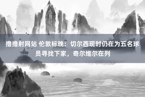 撸撸射网站 伦敦标晚：切尔西现时仍在为五名球员寻找下家，奇尔维尔在列