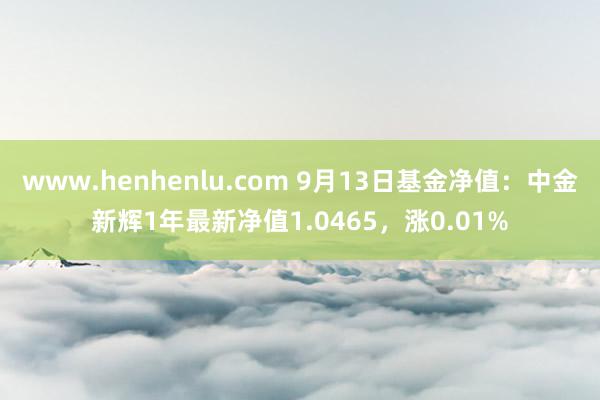 www.henhenlu.com 9月13日基金净值：中金新辉1年最新净值1.0465，涨0.01%