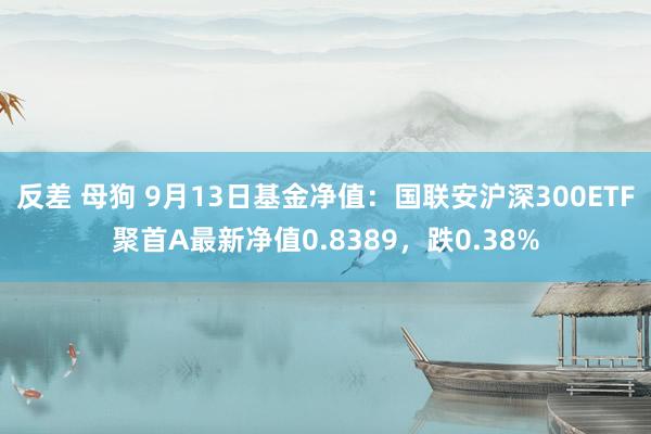 反差 母狗 9月13日基金净值：国联安沪深300ETF聚首A最新净值0.8389，跌0.38%