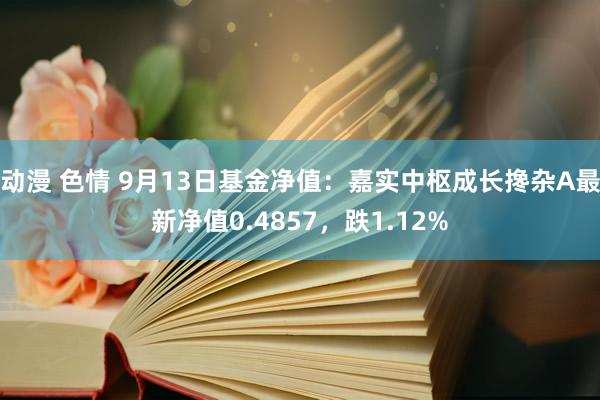 动漫 色情 9月13日基金净值：嘉实中枢成长搀杂A最新净值0.4857，跌1.12%