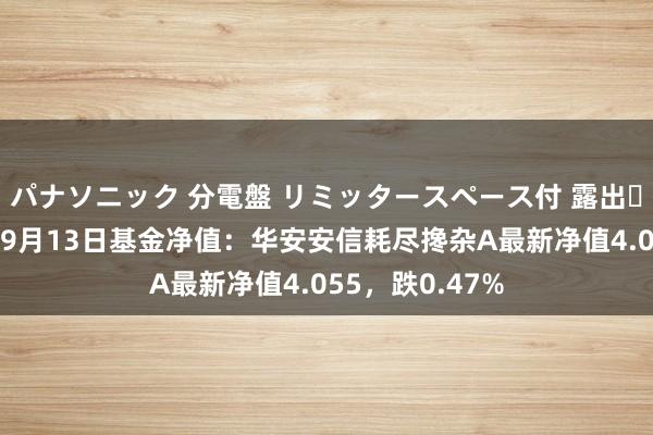 パナソニック 分電盤 リミッタースペース付 露出・半埋込両用形 9月13日基金净值：华安安信耗尽搀杂A最新净值4.055，跌0.47%