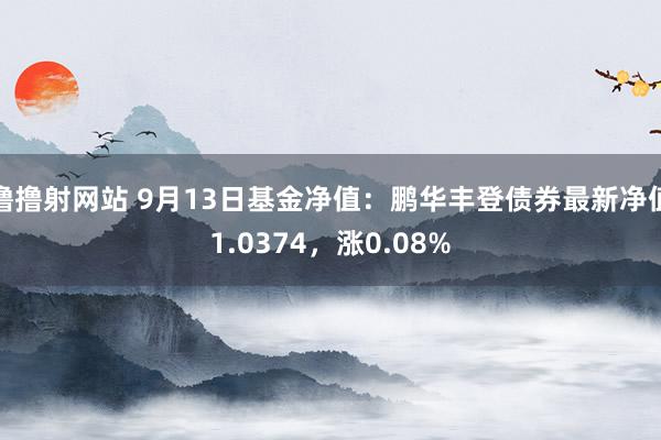 撸撸射网站 9月13日基金净值：鹏华丰登债券最新净值1.0374，涨0.08%