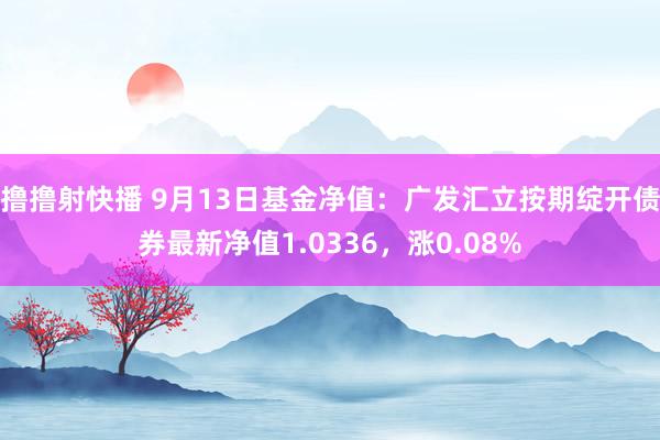 撸撸射快播 9月13日基金净值：广发汇立按期绽开债券最新净值1.0336，涨0.08%