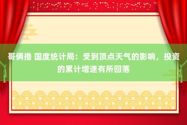 哥俩撸 国度统计局：受到顶点天气的影响，投资的累计增速有所回落