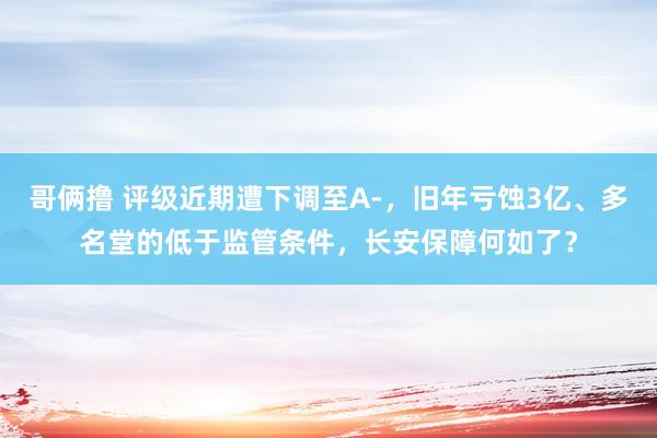 哥俩撸 评级近期遭下调至A-，旧年亏蚀3亿、多名堂的低于监管条件，长安保障何如了？