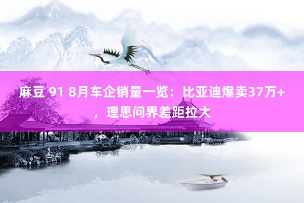 麻豆 91 8月车企销量一览：比亚迪爆卖37万+，理思问界差距拉大