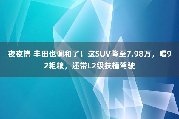 夜夜撸 丰田也调和了！这SUV降至7.98万，喝92粗粮，还带L2级扶植驾驶