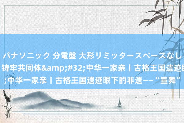 パナソニック 分電盤 大形リミッタースペースなし 露出・半埋込両用形 铸牢共同体&#32;中华一家亲丨古格王国遗迹眼下的非遗——“宣舞”