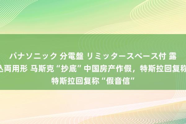 パナソニック 分電盤 リミッタースペース付 露出・半埋込両用形 马斯克“抄底”中国房产作假，特斯拉回复称“假音信”