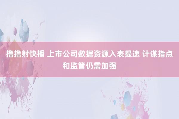 撸撸射快播 上市公司数据资源入表提速 计谋指点和监管仍需加强