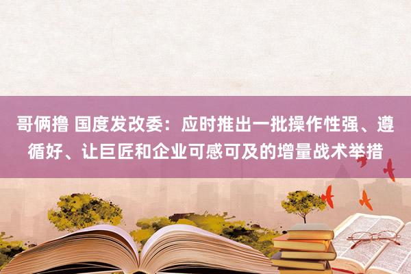 哥俩撸 国度发改委：应时推出一批操作性强、遵循好、让巨匠和企业可感可及的增量战术举措