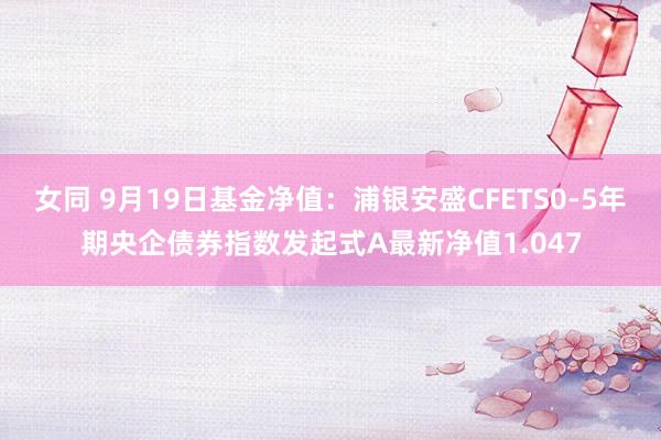 女同 9月19日基金净值：浦银安盛CFETS0-5年期央企债券指数发起式A最新净值1.047