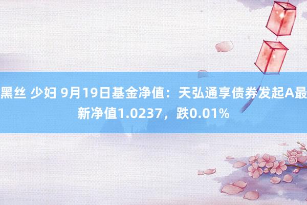 黑丝 少妇 9月19日基金净值：天弘通享债券发起A最新净值1.0237，跌0.01%