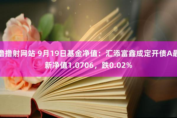 撸撸射网站 9月19日基金净值：汇添富鑫成定开债A最新净值1.0706，跌0.02%