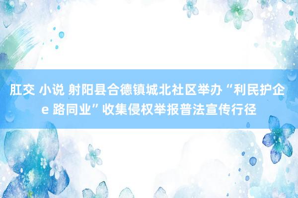 肛交 小说 射阳县合德镇城北社区举办“利民护企 e 路同业”收集侵权举报普法宣传行径