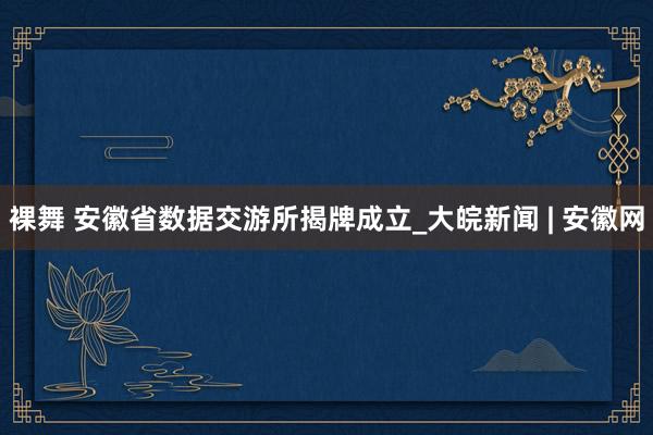 裸舞 安徽省数据交游所揭牌成立_大皖新闻 | 安徽网