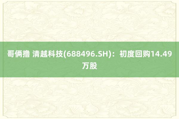 哥俩撸 清越科技(688496.SH)：初度回购14.49万股