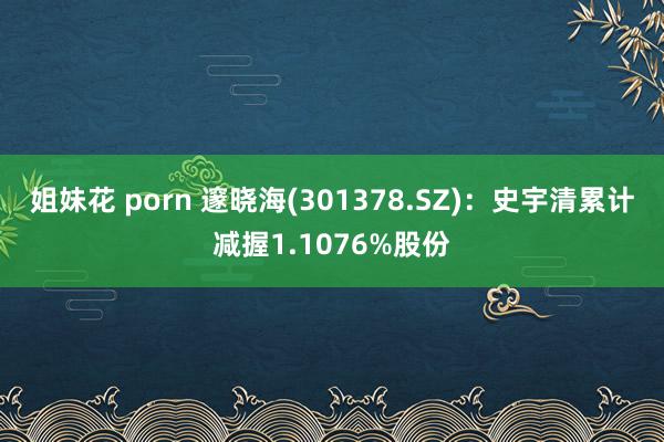 姐妹花 porn 邃晓海(301378.SZ)：史宇清累计减握1.1076%股份