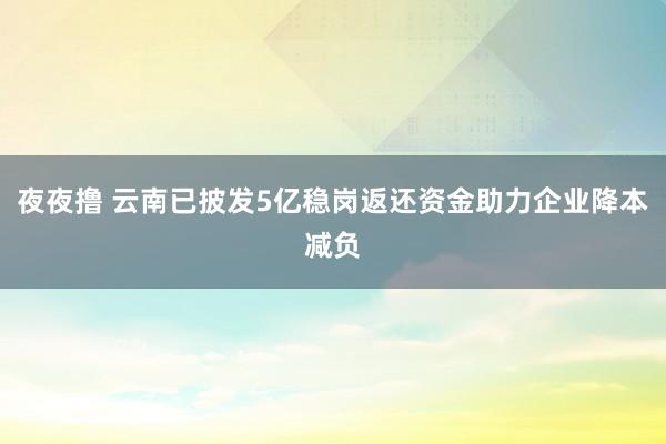 夜夜撸 云南已披发5亿稳岗返还资金助力企业降本减负