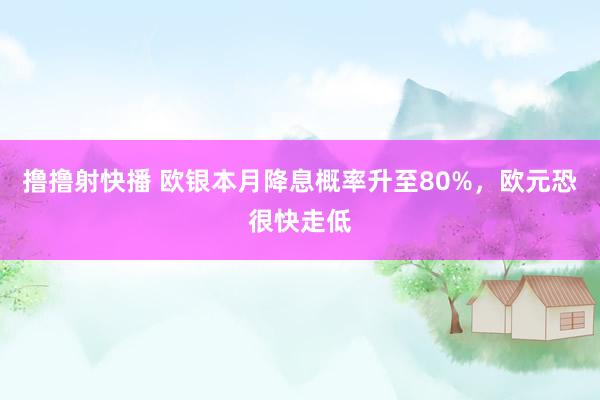 撸撸射快播 欧银本月降息概率升至80%，欧元恐很快走低