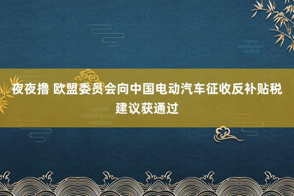 夜夜撸 欧盟委员会向中国电动汽车征收反补贴税建议获通过