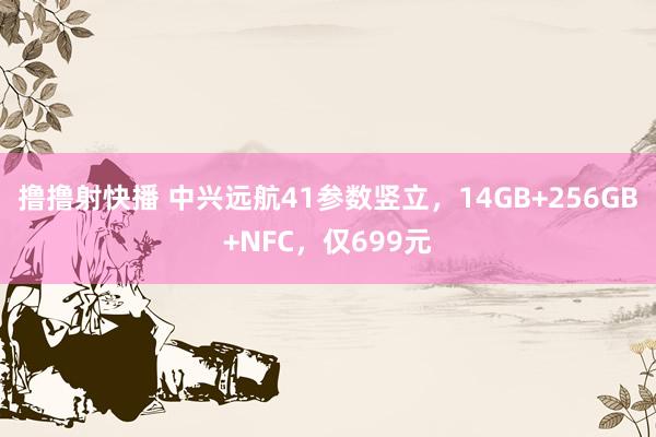 撸撸射快播 中兴远航41参数竖立，14GB+256GB+NFC，仅699元