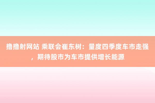 撸撸射网站 乘联会崔东树：量度四季度车市走强，期待股市为车市提供增长能源