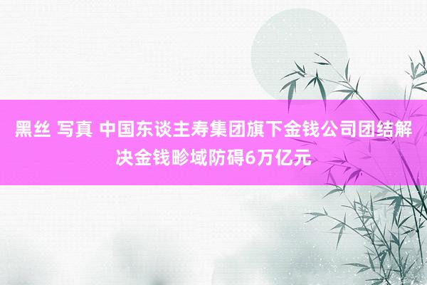 黑丝 写真 中国东谈主寿集团旗下金钱公司团结解决金钱畛域防碍6万亿元