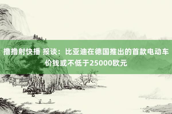 撸撸射快播 报谈：比亚迪在德国推出的首款电动车价钱或不低于25000欧元