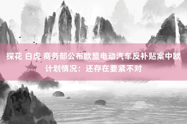 探花 白虎 商务部公布欧盟电动汽车反补贴案中欧计划情况：还存在要紧不对