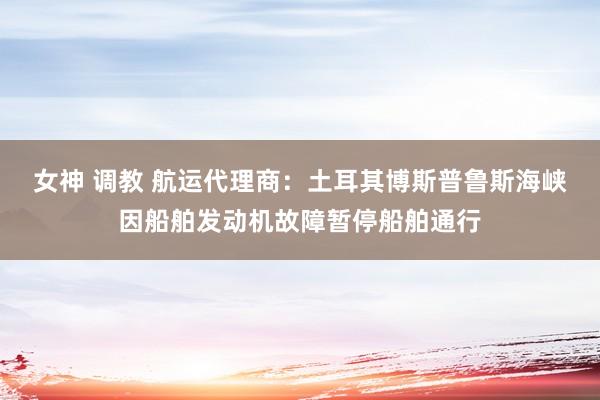 女神 调教 航运代理商：土耳其博斯普鲁斯海峡因船舶发动机故障暂停船舶通行