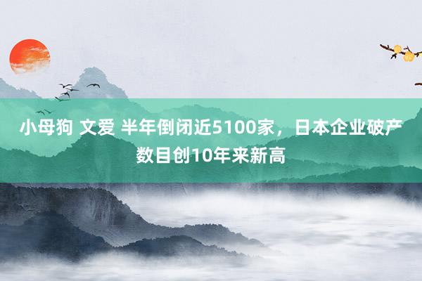 小母狗 文爱 半年倒闭近5100家，日本企业破产数目创10年来新高