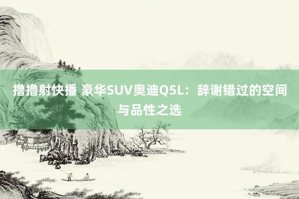 撸撸射快播 豪华SUV奥迪Q5L：辞谢错过的空间与品性之选