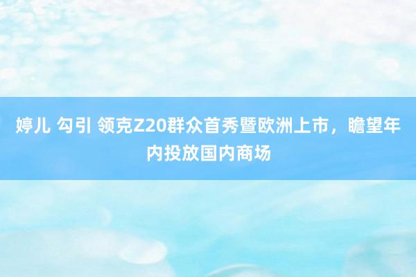 婷儿 勾引 领克Z20群众首秀暨欧洲上市，瞻望年内投放国内商场