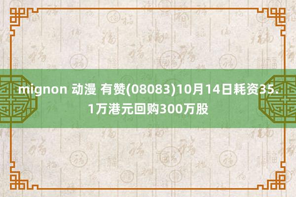 mignon 动漫 有赞(08083)10月14日耗资35.1万港元回购300万股