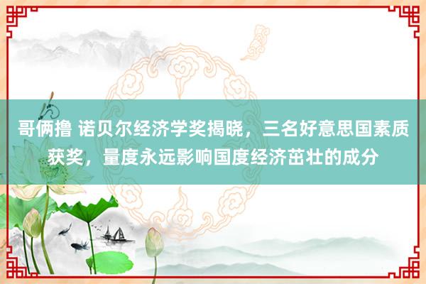 哥俩撸 诺贝尔经济学奖揭晓，三名好意思国素质获奖，量度永远影响国度经济茁壮的成分