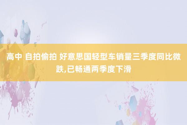 高中 自拍偷拍 好意思国轻型车销量三季度同比微跌，已畅通两季度下滑