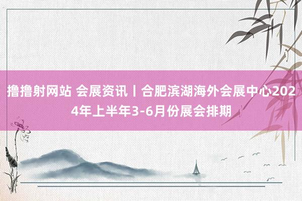 撸撸射网站 会展资讯丨合肥滨湖海外会展中心2024年上半年3-6月份展会排期