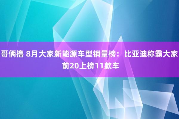 哥俩撸 8月大家新能源车型销量榜：比亚迪称霸大家 前20上榜11款车