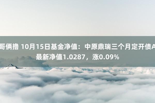 哥俩撸 10月15日基金净值：中原鼎瑞三个月定开债A最新净值1.0287，涨0.09%