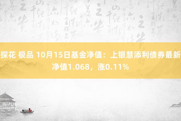 探花 极品 10月15日基金净值：上银慧添利债券最新净值1.068，涨0.11%