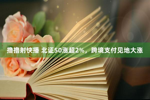 撸撸射快播 北证50涨超2%，跨境支付见地大涨